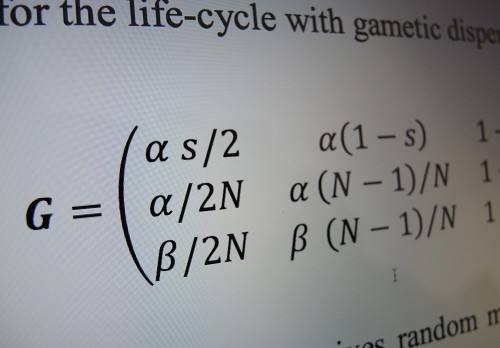 transition matrix